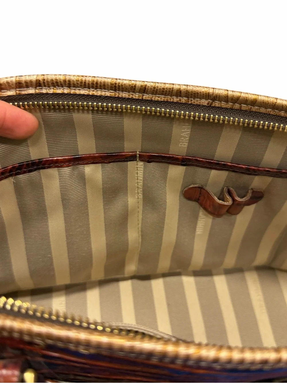 Brahmin structured croc